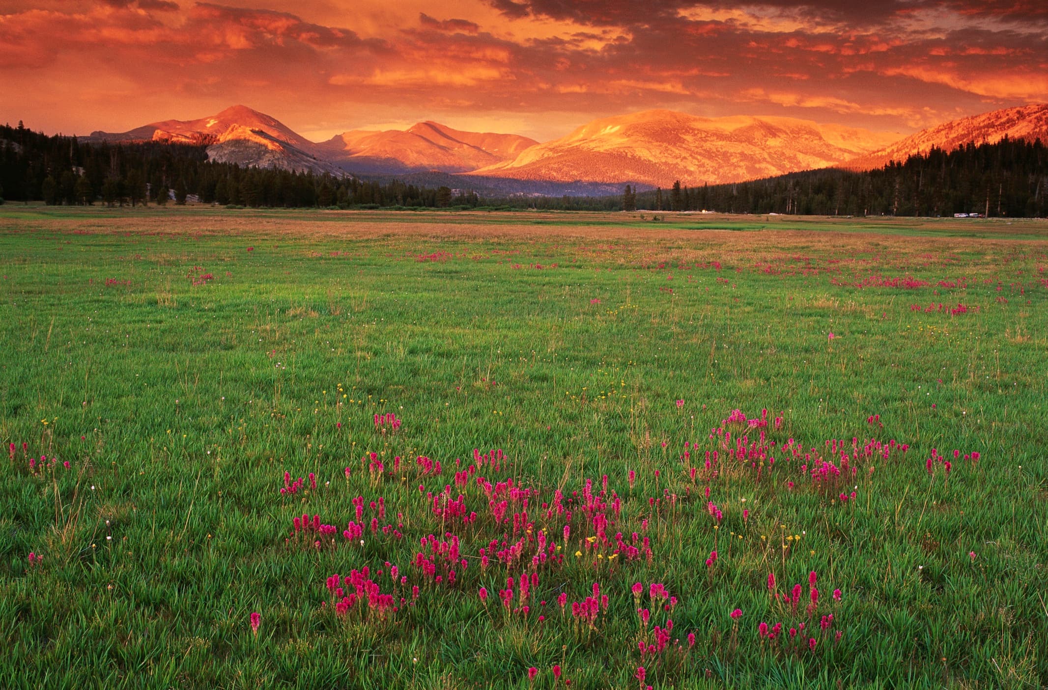 Tuolumne Meadows at sunset